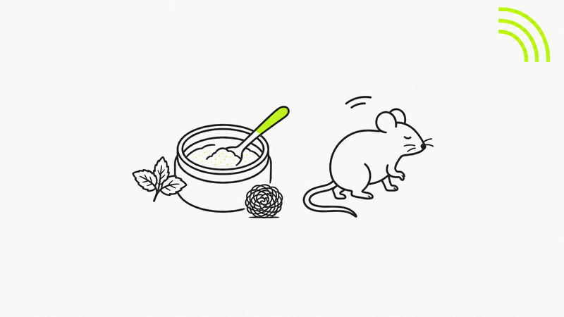 Un pot de bicarbonate et une souris qui s en detourne